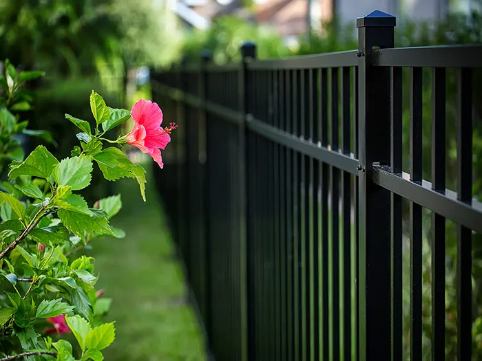 Iron railing